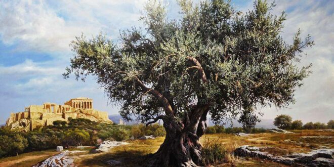 Zeytin Hukuku - Atina Akropolü